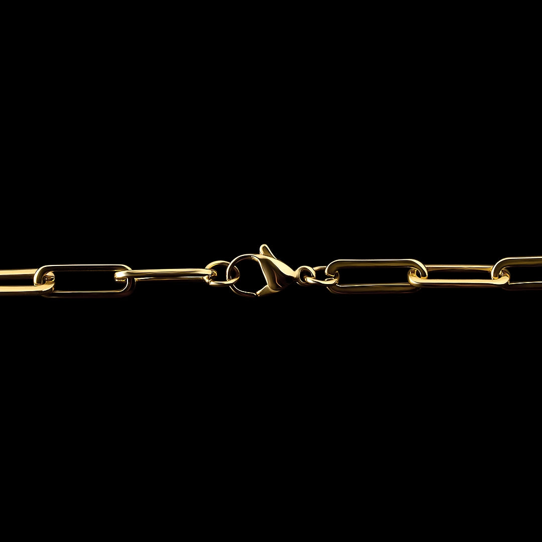 The Ledger Chain - Gold Plated
