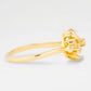 The Amberly
