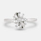 The Amberly
