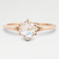 The Julie