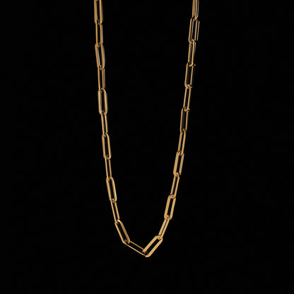 The Ledger Chain - Gold Plated