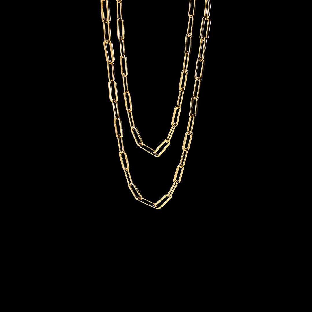 The Ledger Chain - Gold Plated