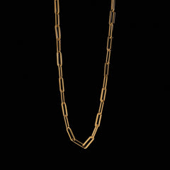 The Ledger Chain - Gold Plated