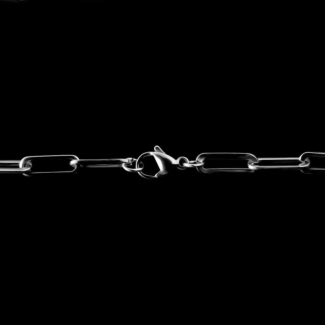 The Ledger Chain - Stainless Steel