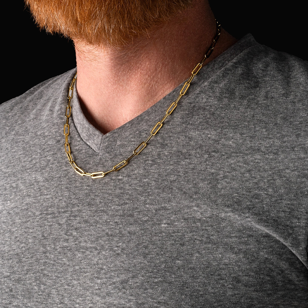 The Ledger Chain - Gold Plated